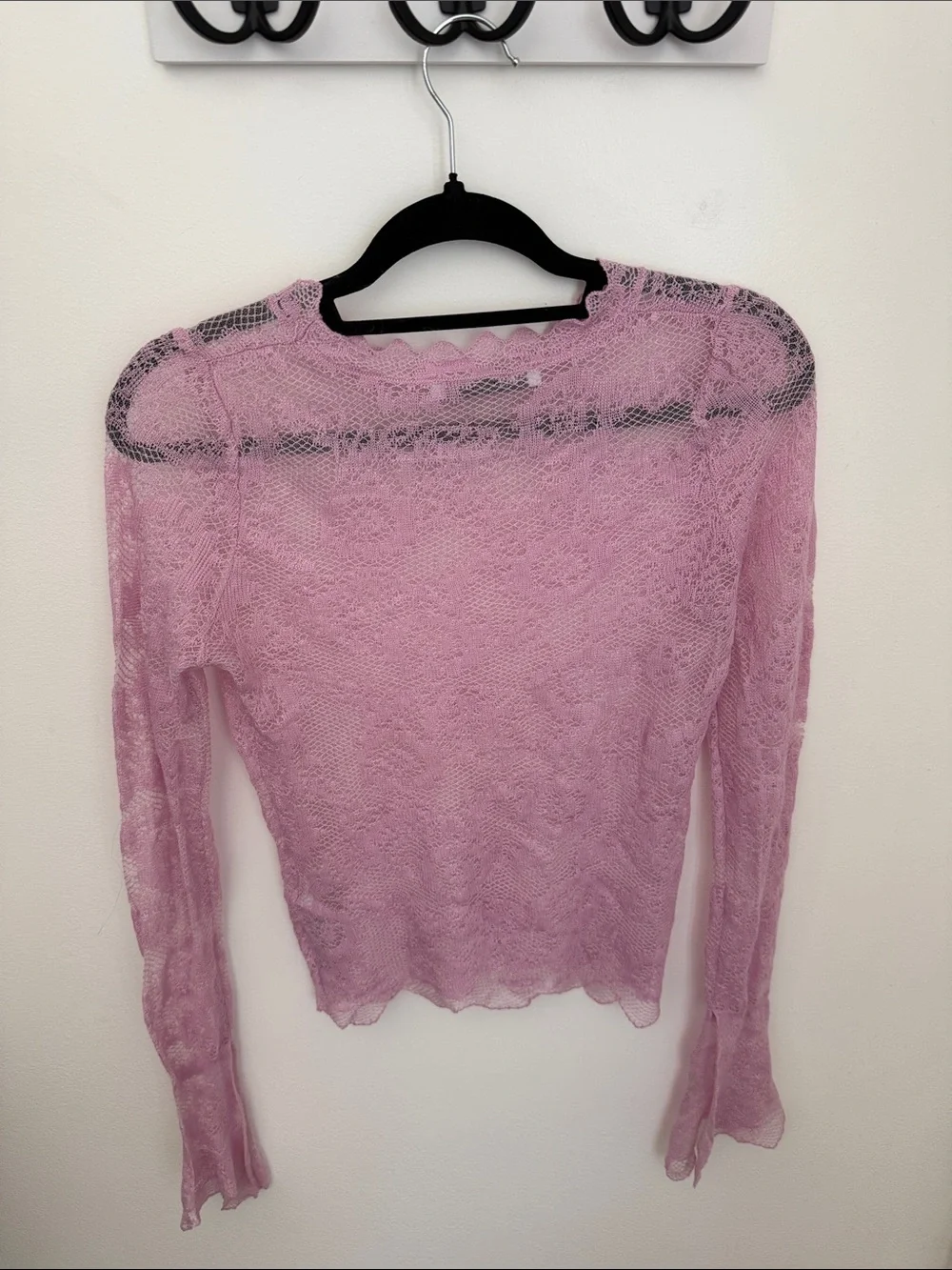 Zara Pale Pink Sheer Lace Long-Sleeve Top